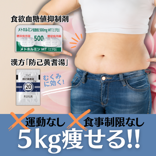 医療ダイエット薬 ｜ メトホルミン500mg +防已黄耆湯[20番] 28日分